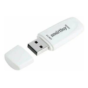 Флеш-накопитель Smartbuy 256 GB Scout White (SB256GB3SCW)